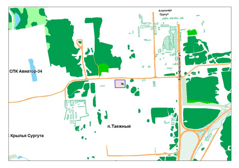 District airport Surgut