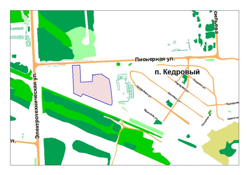 village of Kedrovyi, Pionernaya street